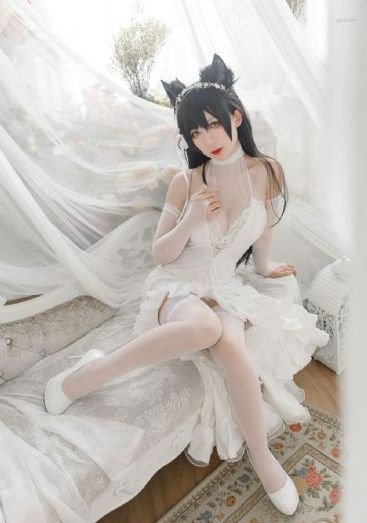 隔壁的姐妹们