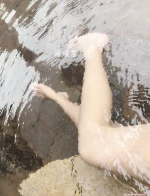 与凤行正版电视剧免费观看完整版