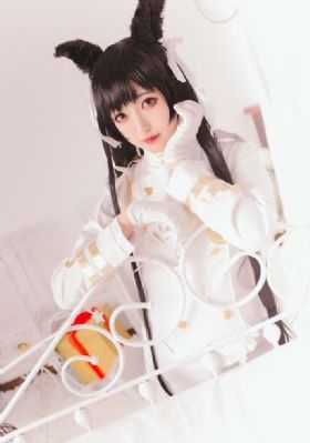 《我是刑警》全集观看免费高清