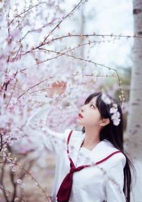 大地资源在线